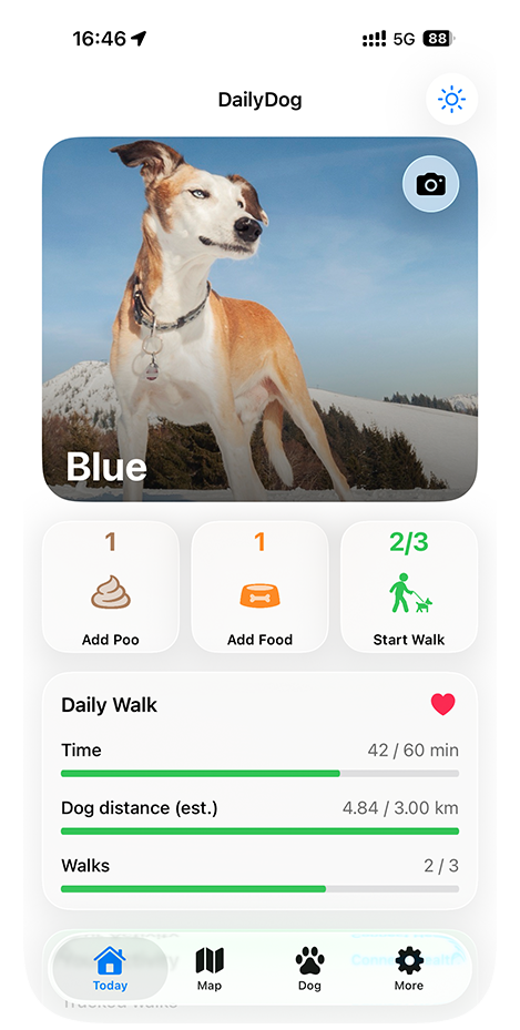 DailyDog Today view with dog profile, food log and daily walk progress