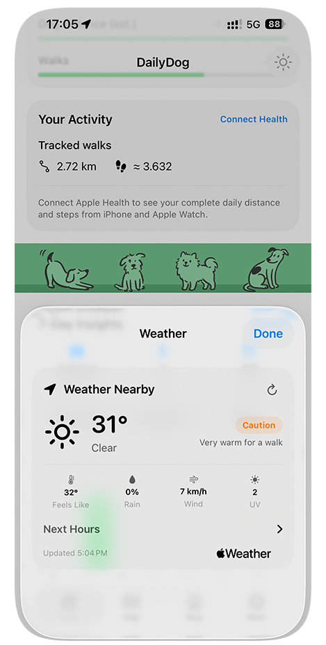 DailyDog weather forecast for planning a walk